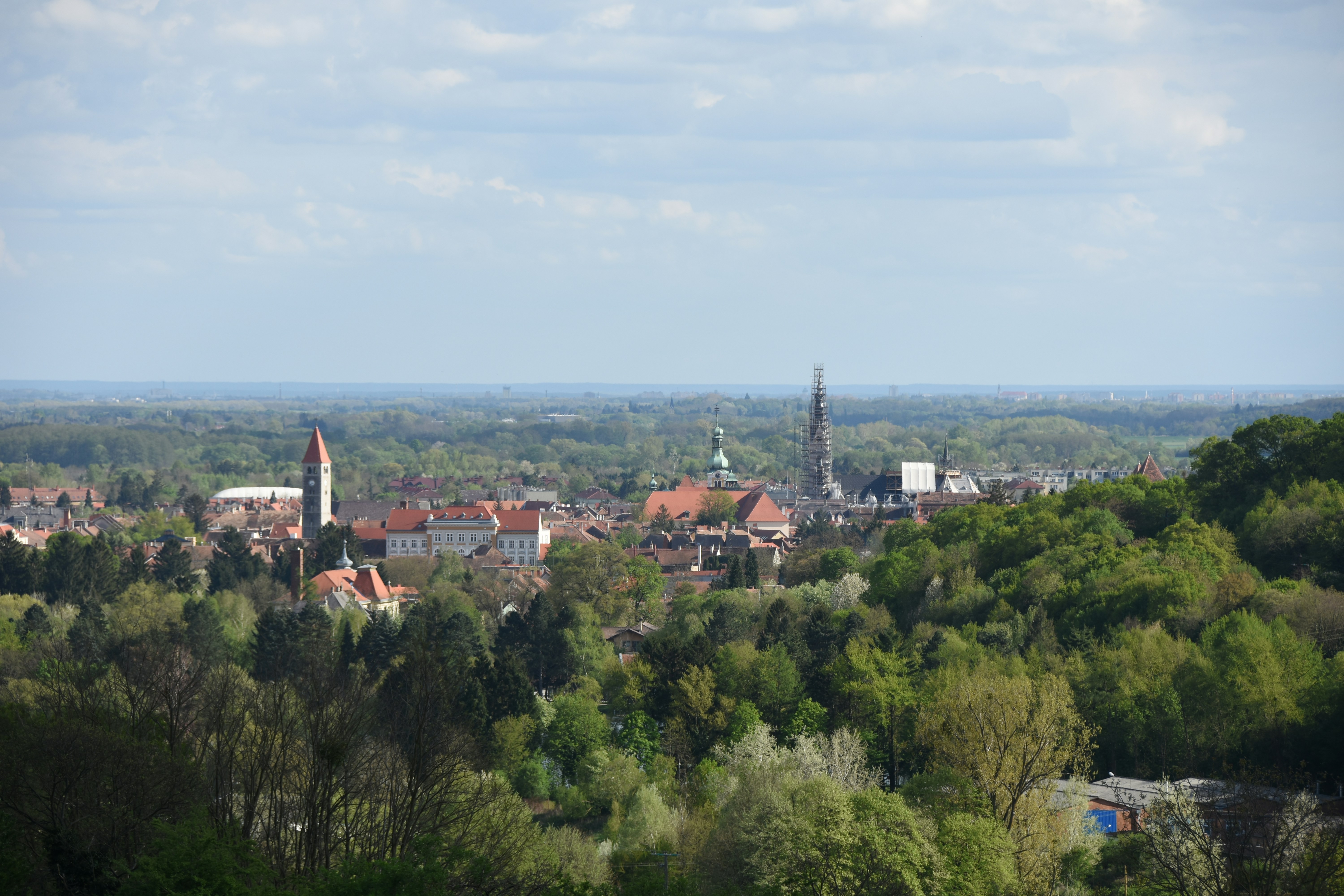 Blick auf die Stadt Meißen mit roten Dächern, Kirchtürmen und umliegenden grünen Hügeln unter leicht bewölktem Himmel.