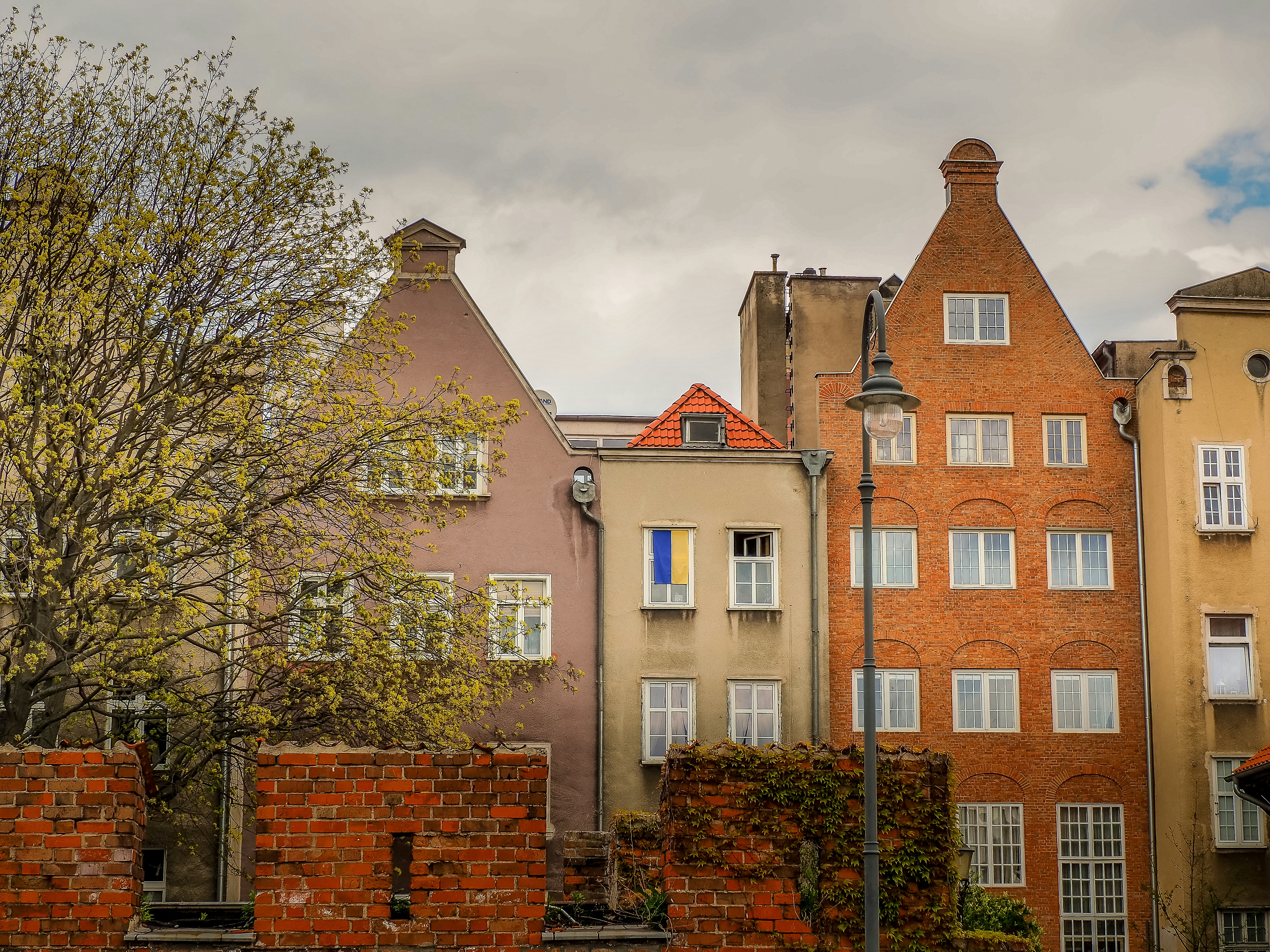 a row of brick buildings with a tree in the foreground