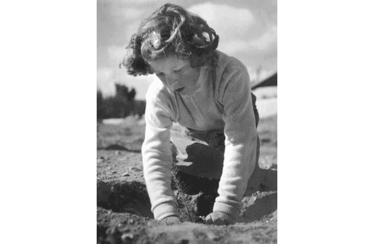 Girl Planting