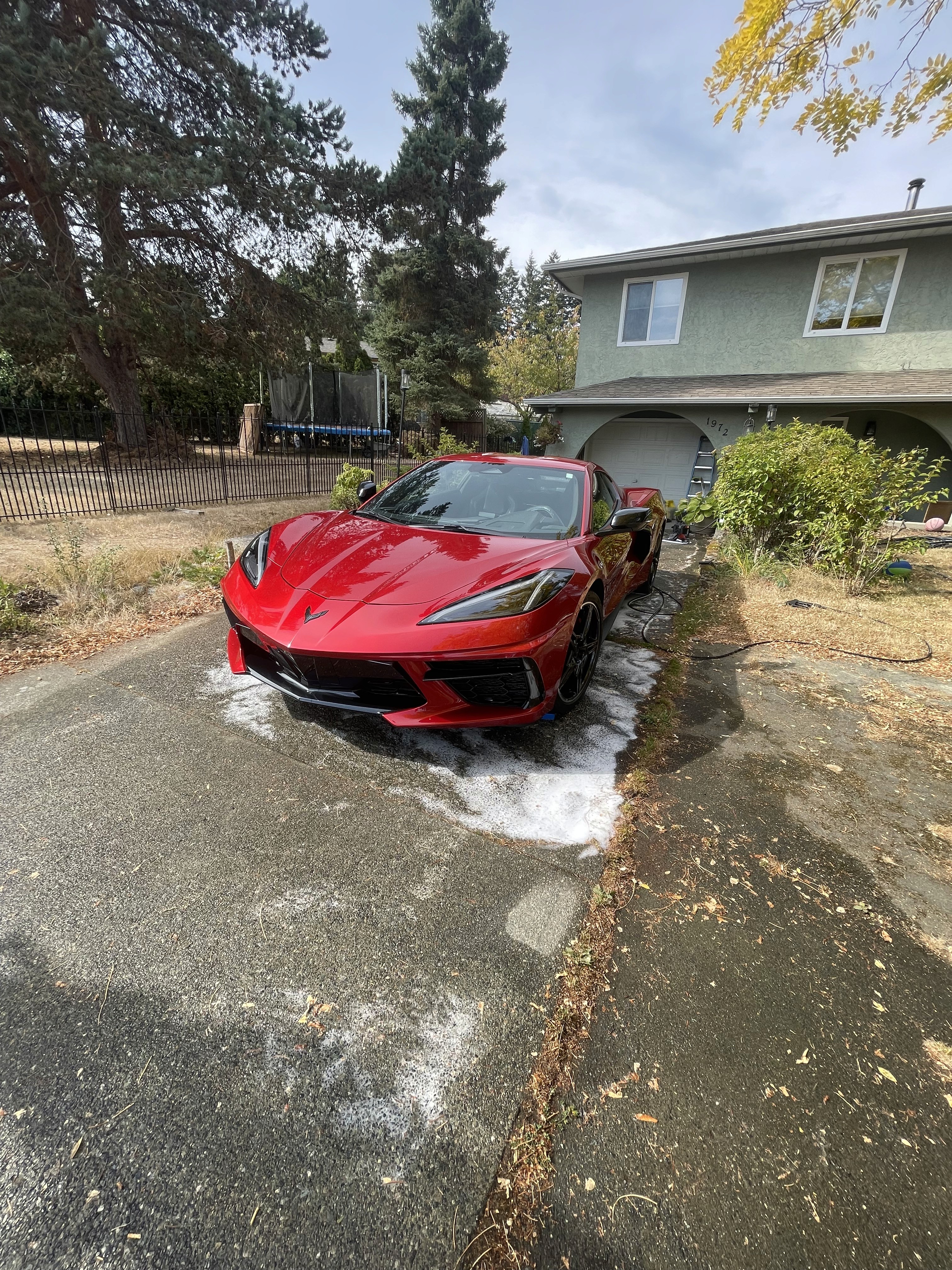 Vehicle exterior after professional detailing