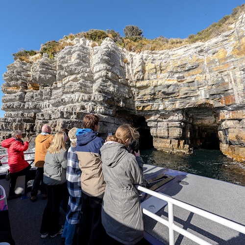 在晴朗的蓝天下，船上的人们身穿夹克，观察着巨大的、饱经风霜的悬崖，上面有几个海洞。