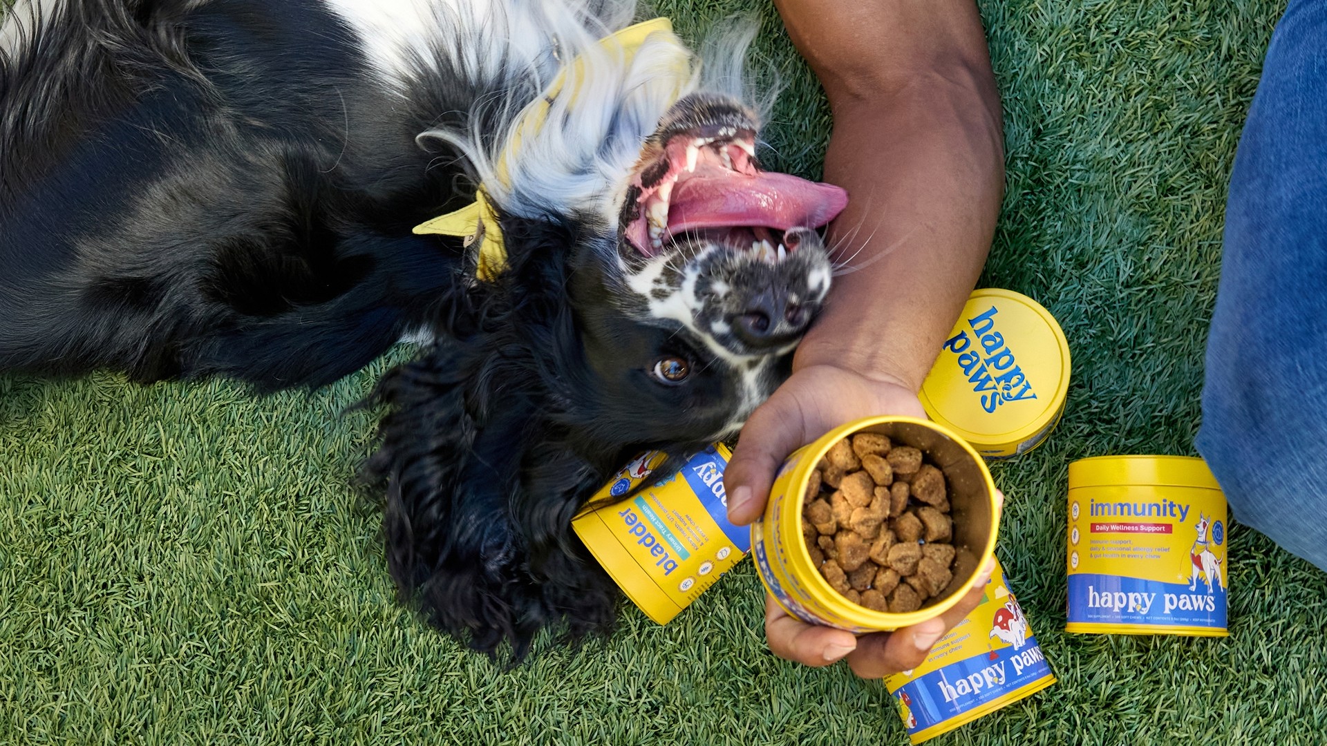 Happy Paws pet DTC 0-1 Branding design