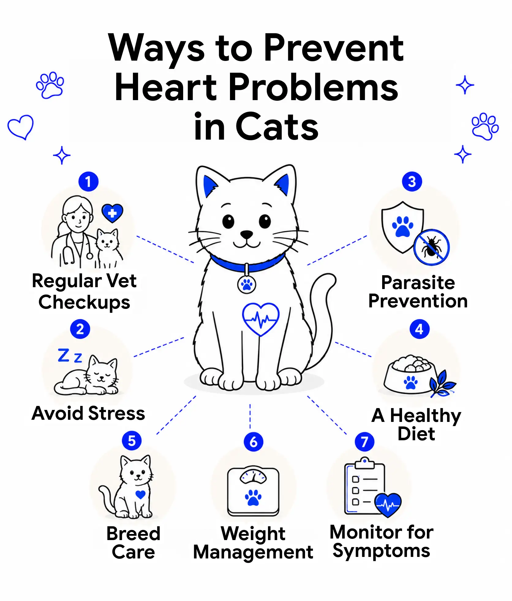 An infographic showing the many ways to prevent heart problems in cats.