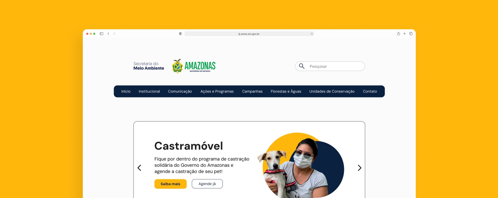 Tela principal da Sema no navegador