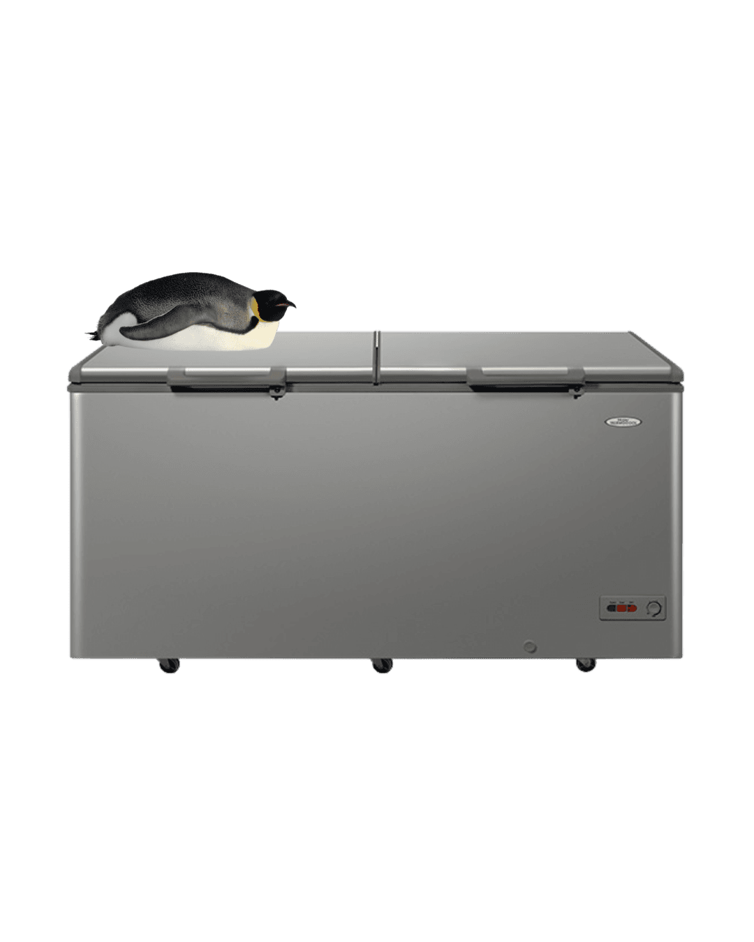 Vancouver cargo box storage
