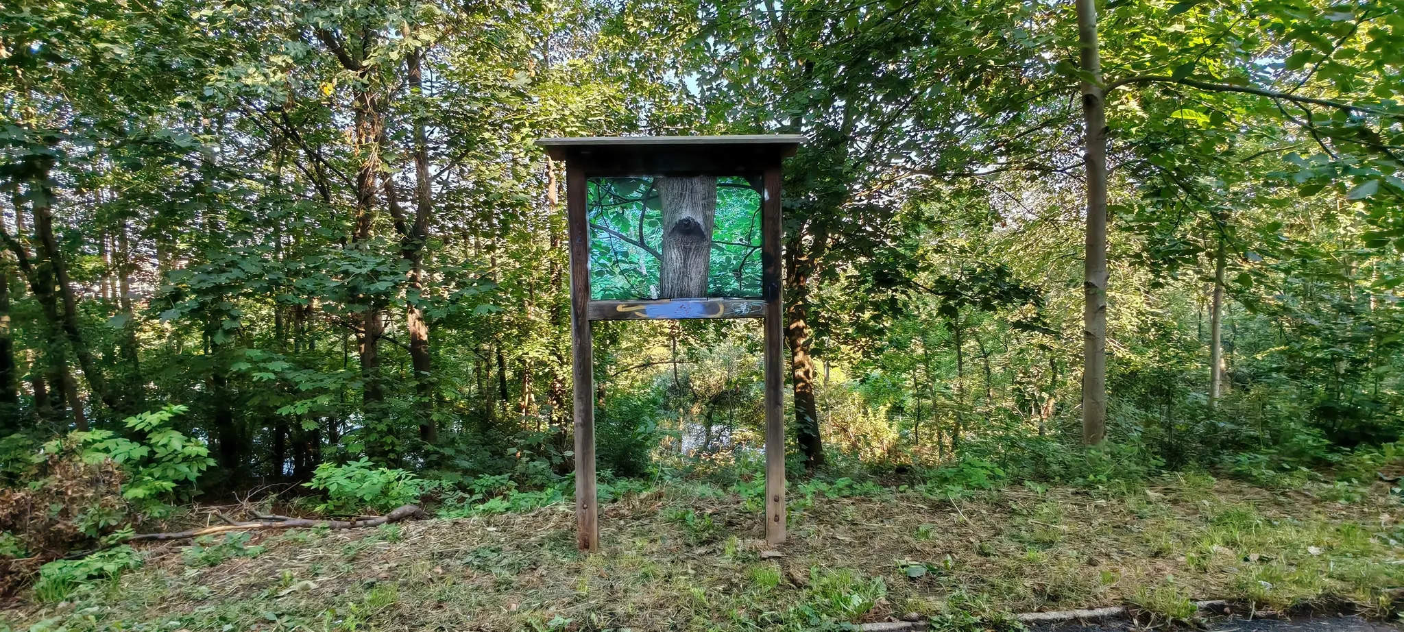 Mapping the Unseen, Petra Hudcova, Krejcarek Park, Prague, Czech Republic, uncommissioned, 2025