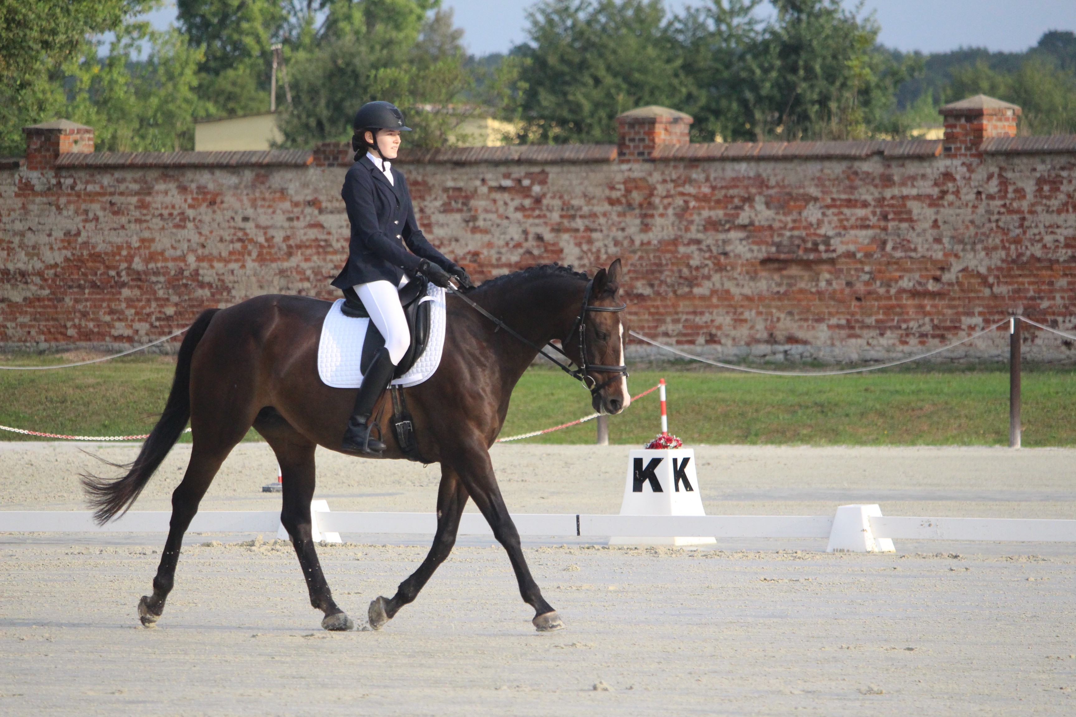 2016 Taloubet Z en Christian Ahlmann Rio@Arnd Bronkhorst