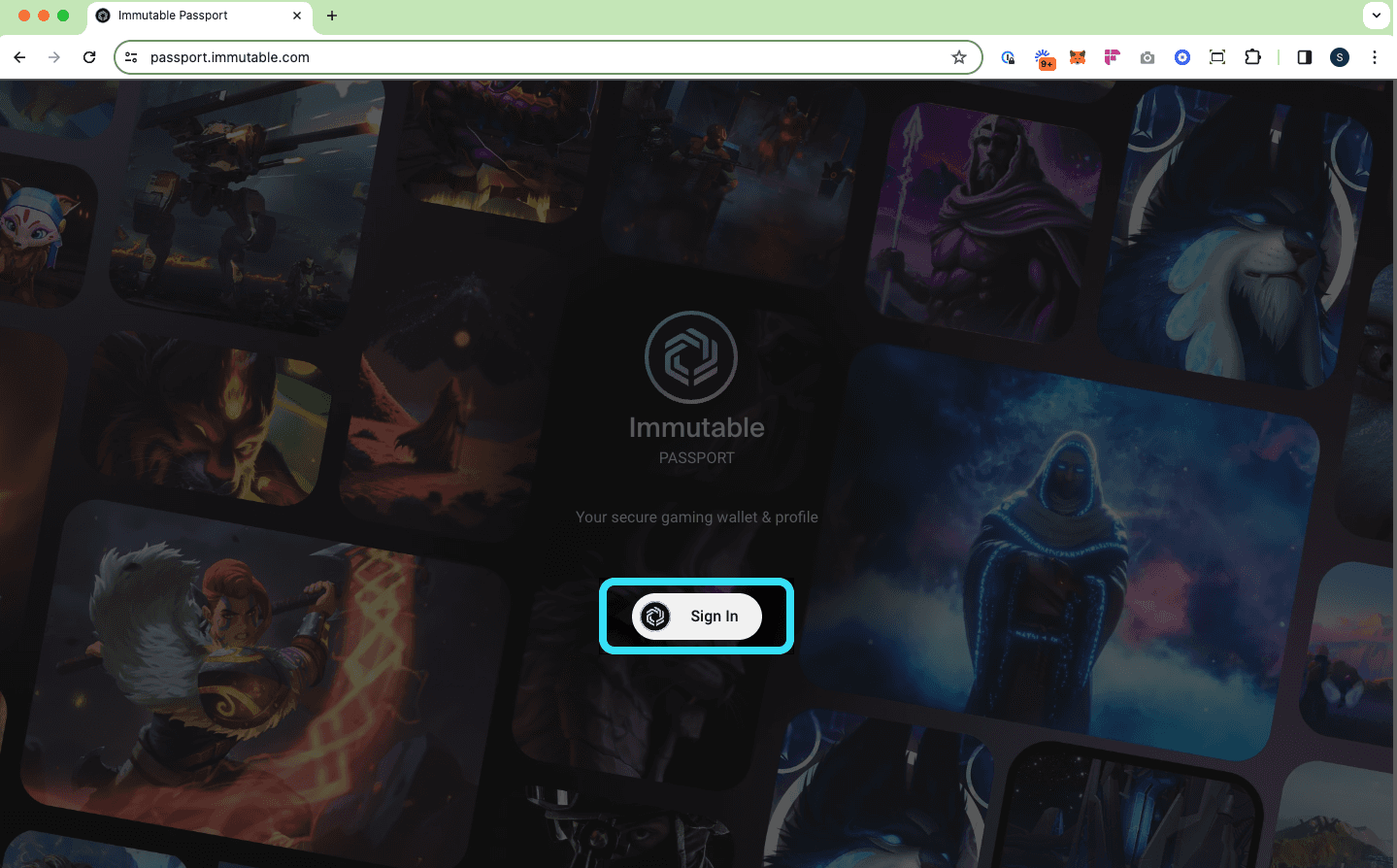 Immutable Passport sign in screen