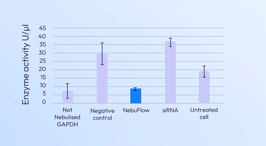 Fig 1. Lipofectamine mediated transfection of GAPDH siRNA in Hela cells. NebuFlow preserves the biological activity of the siRNA.