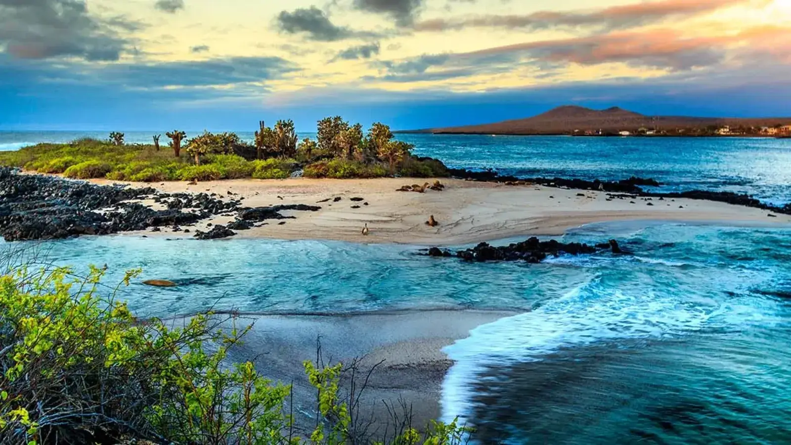 galapagos islands