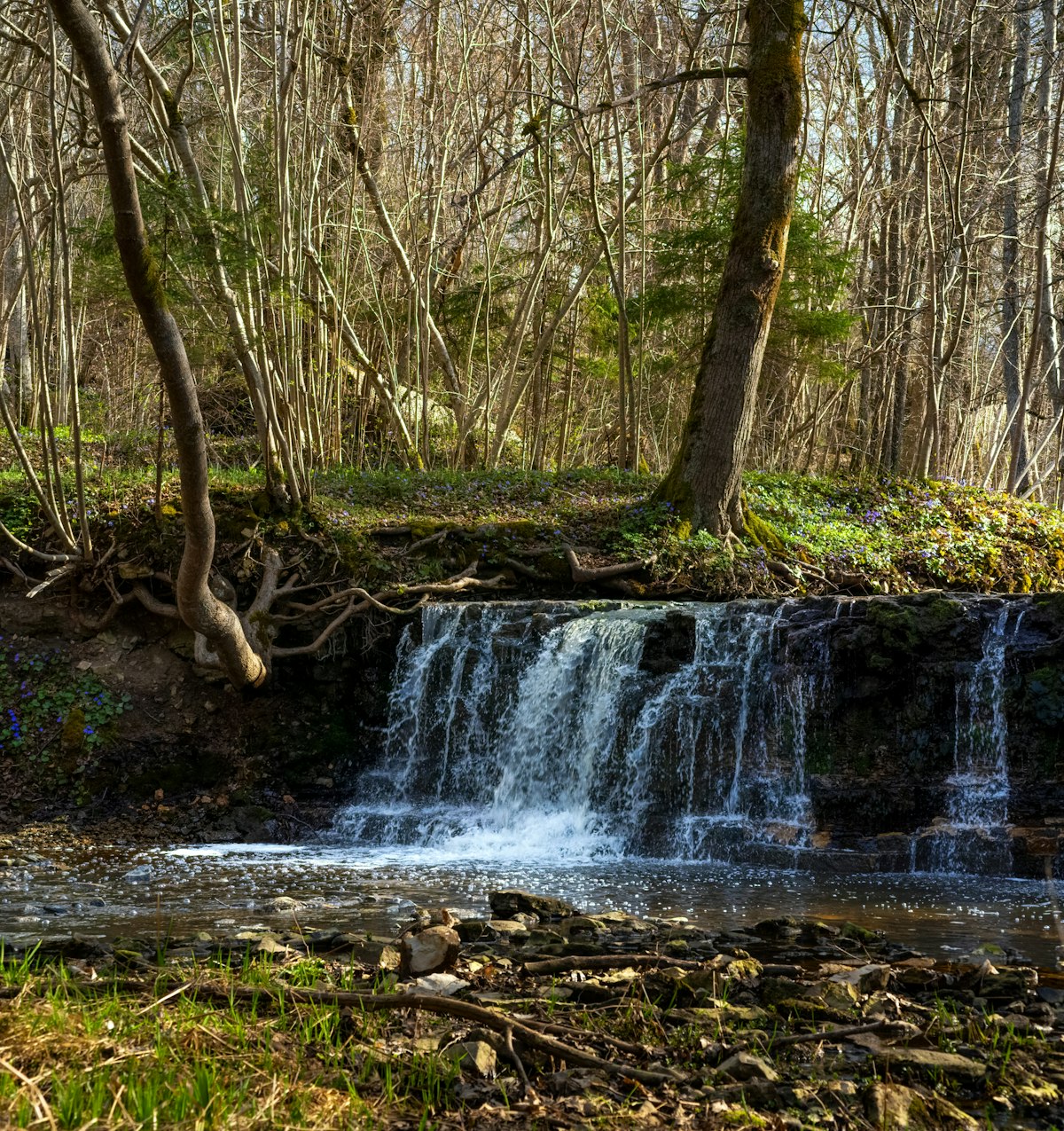 Pink Noise + Tiny Waterfall — A small waterfall cascades over rocks in a sunlit forest