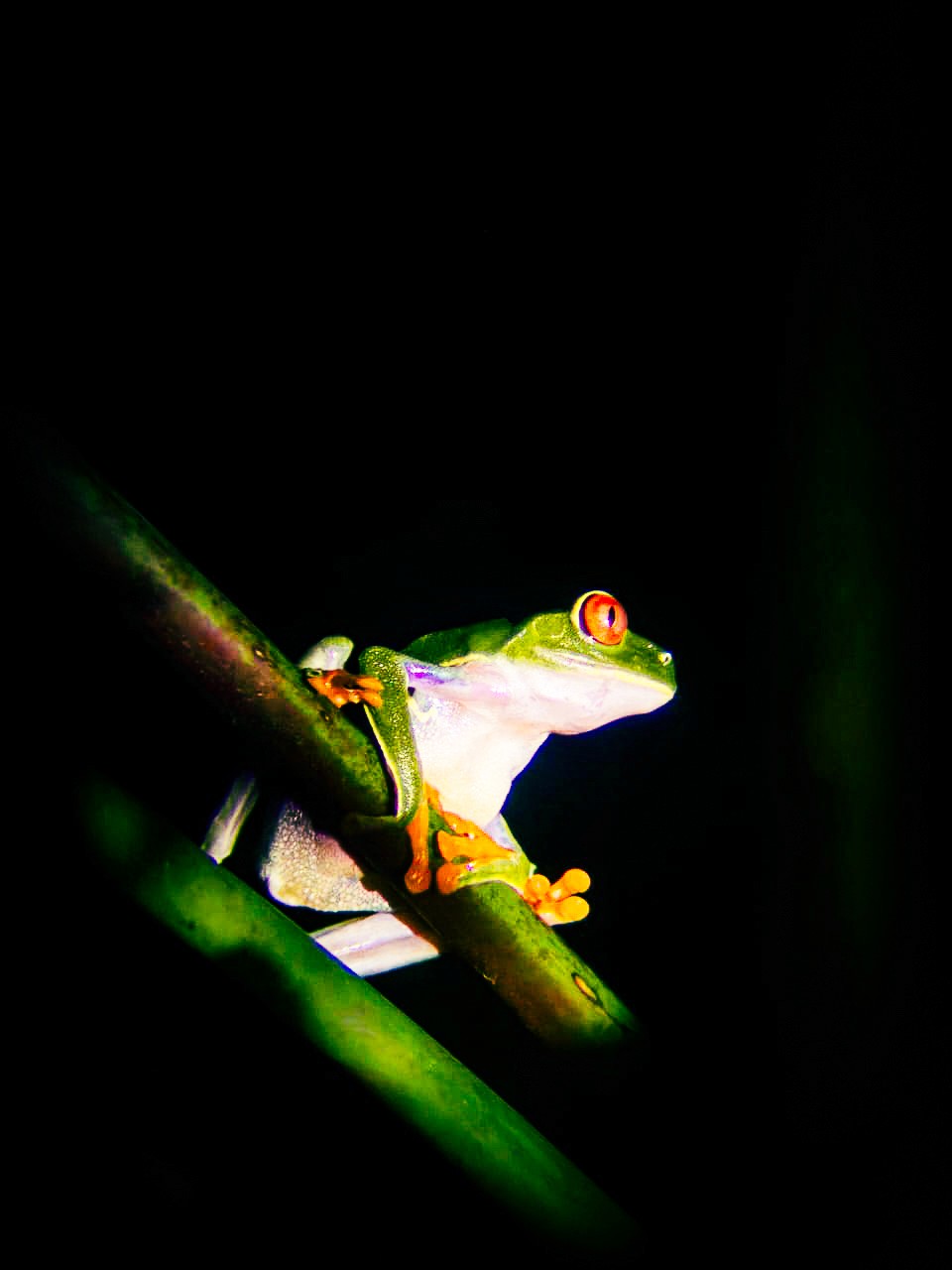 people walking near white concrete building during daytime
