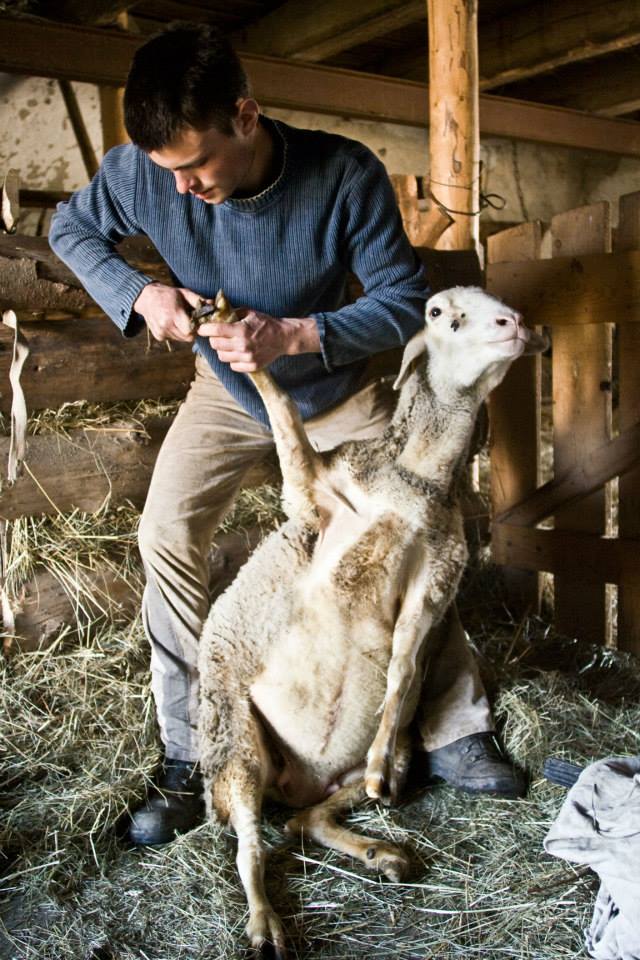 A smiling young man with crossed arms, wearing a plaid shirt and white t-shirt, poses against a dark background.
