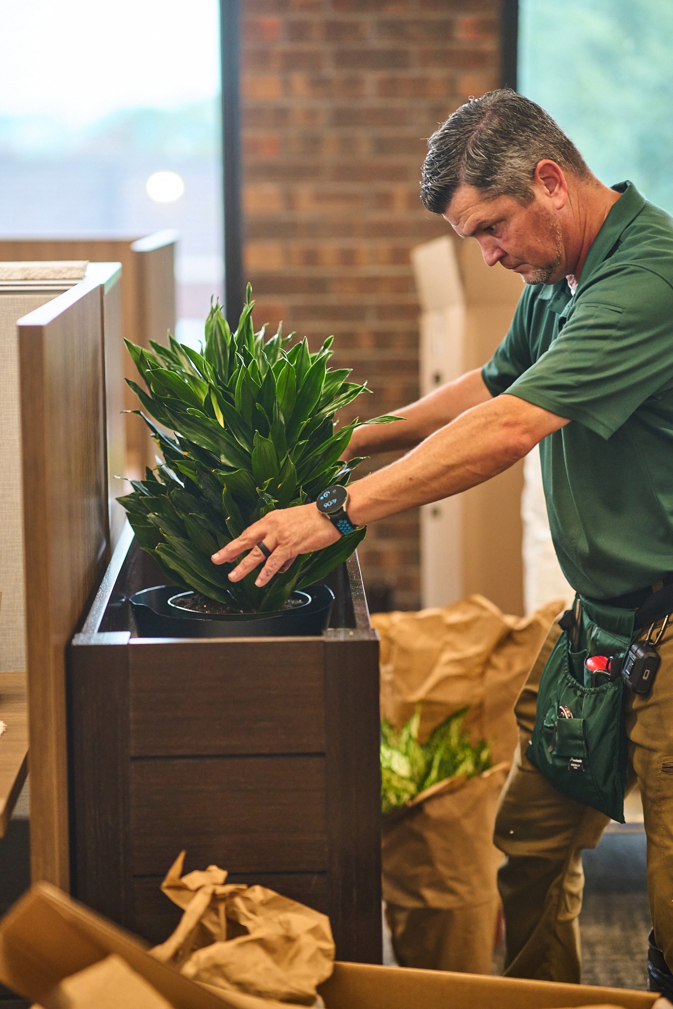 Tropical Décor installs plants in a St. Louis area office