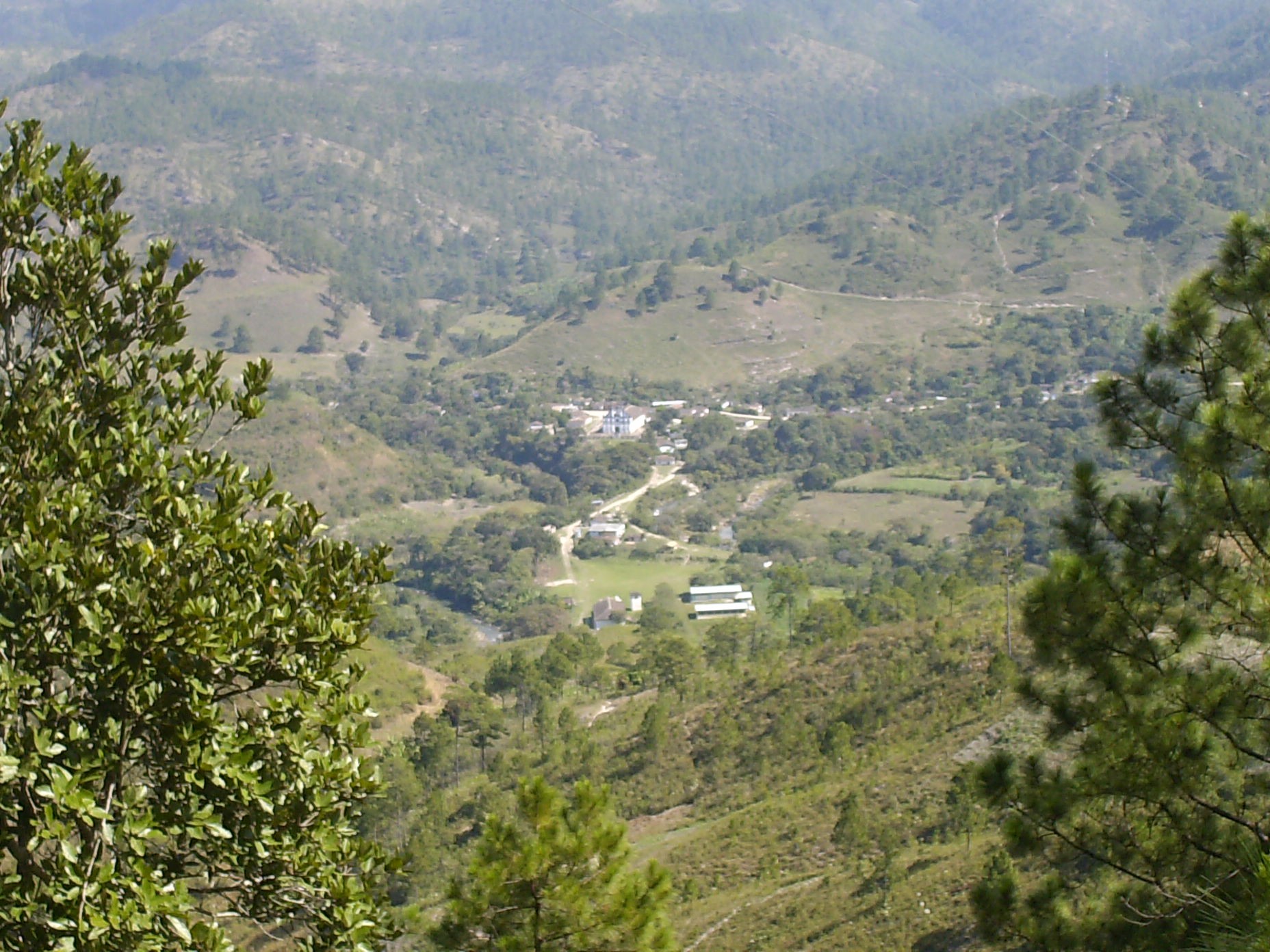Service Image