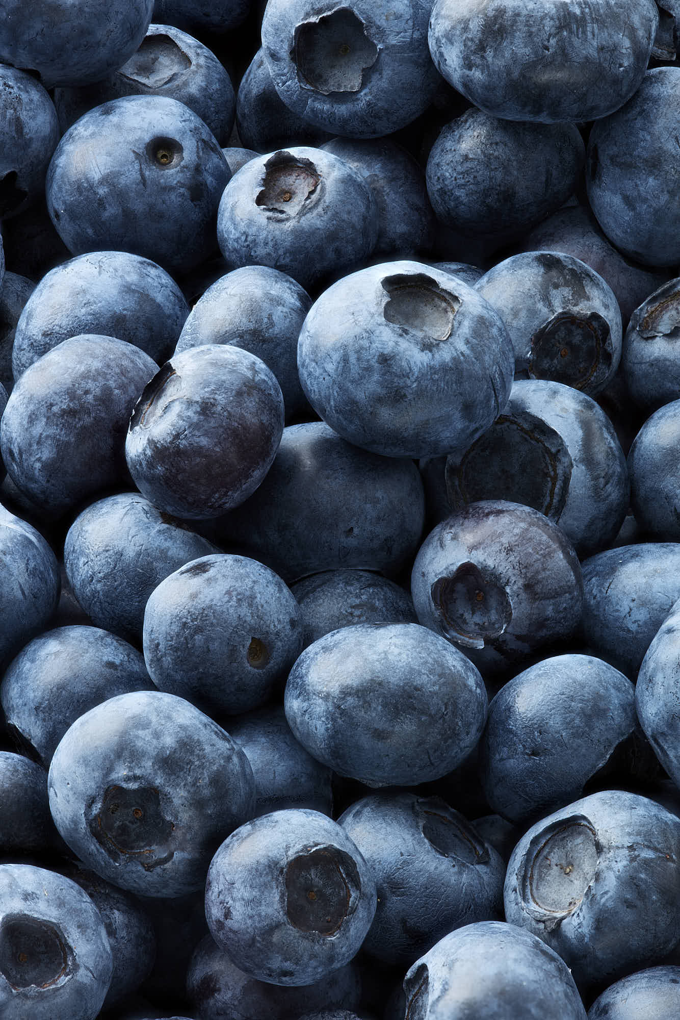 Fresh blueberries close-up, ripe and juicy.
