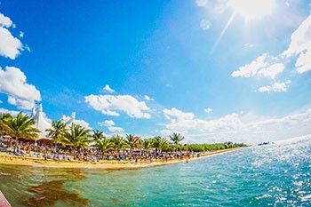tropical beach