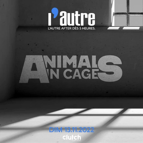 Animals in cage