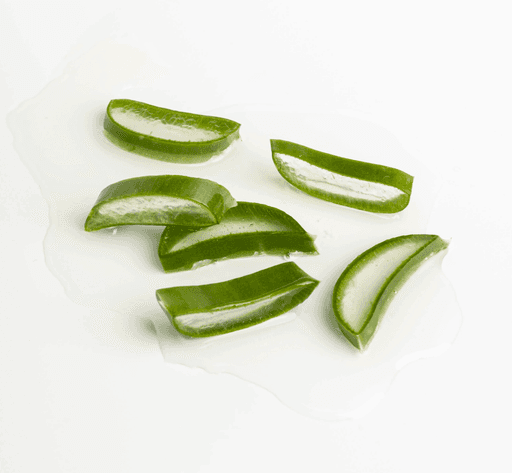 aloevera