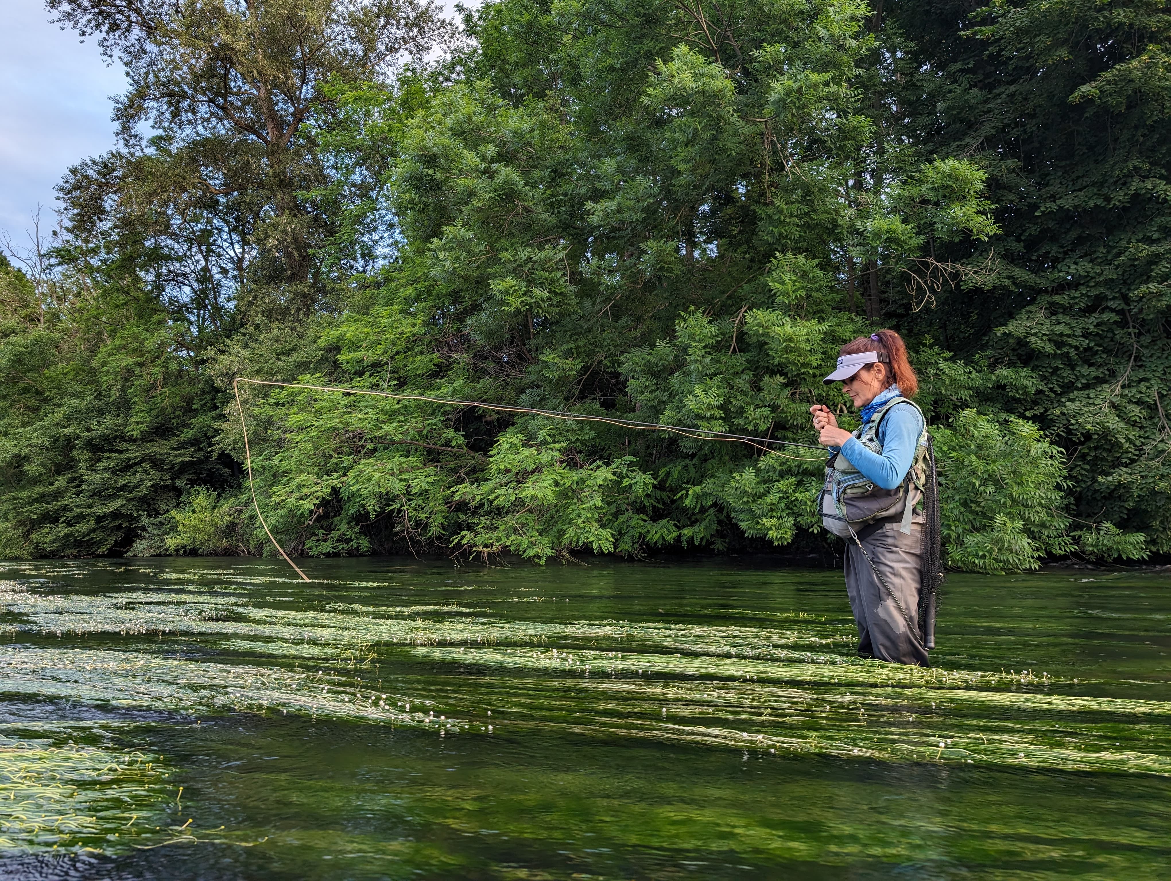 Fly fishing in the Ariège: casting on a serene mountain stream in the Pyrenees.