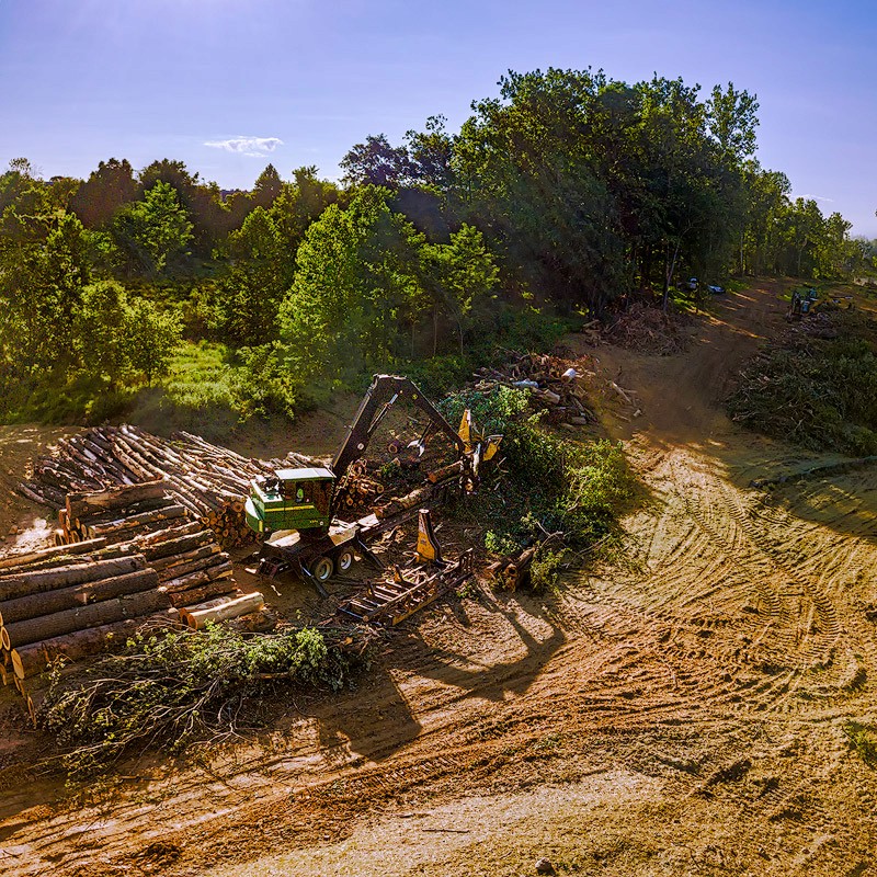 Rapid deforestation along the Potomac River