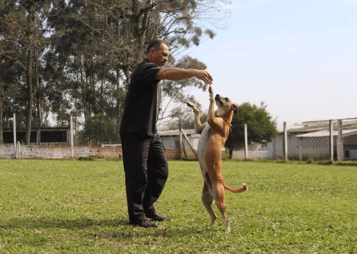 Coach explaining something to an athlete