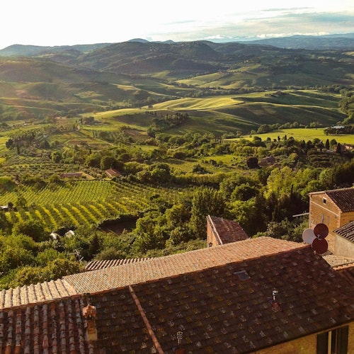Montepulciano: Vineyard Guided Tour + Wine Tasting tickets in Montalcino