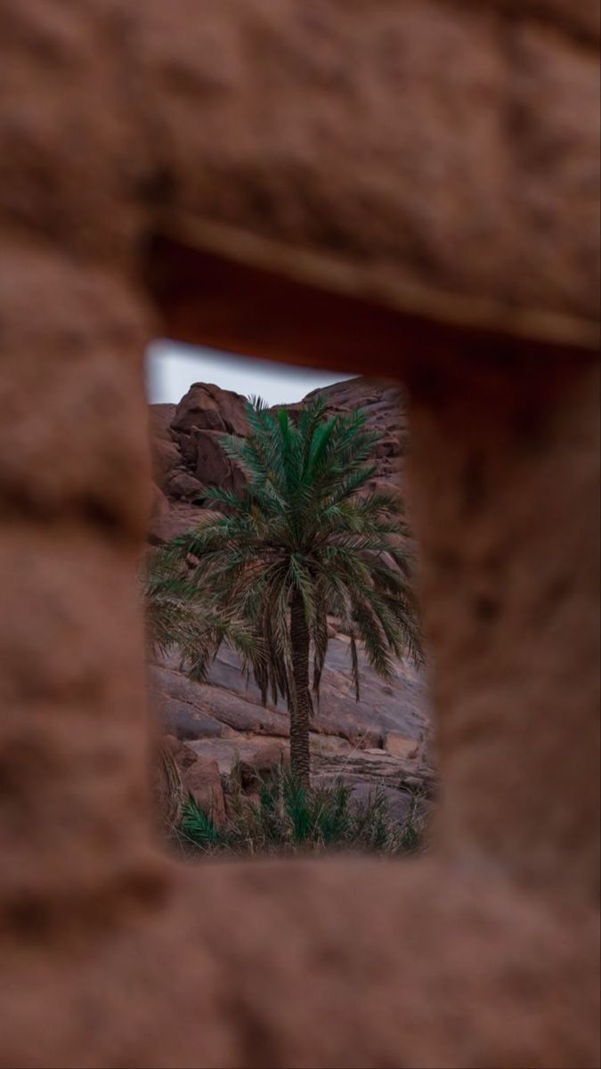 a women in front of a solar panel