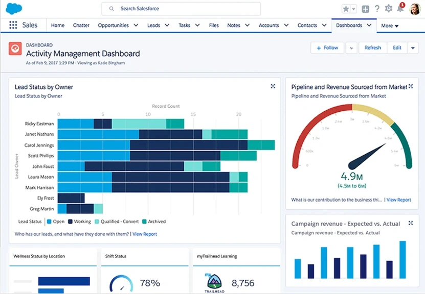 Salesforce CRM dashboard showing lead status, pipeline revenue, campaign revenue, and user activity metrics.