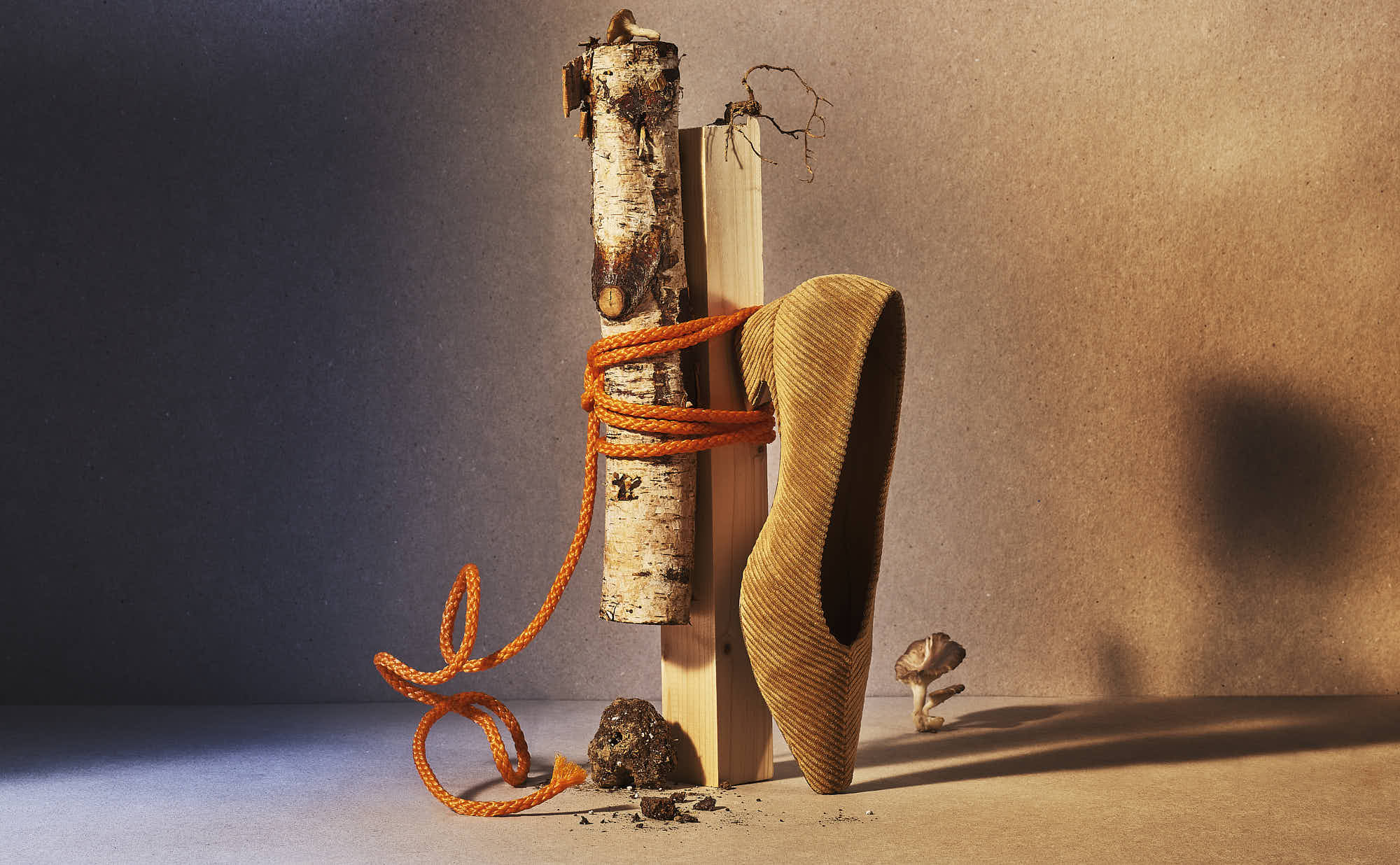 A birch wood log tied with a orange rope with a womens shoe balanced against it, placed on a table with soft lighting and a neutral background.