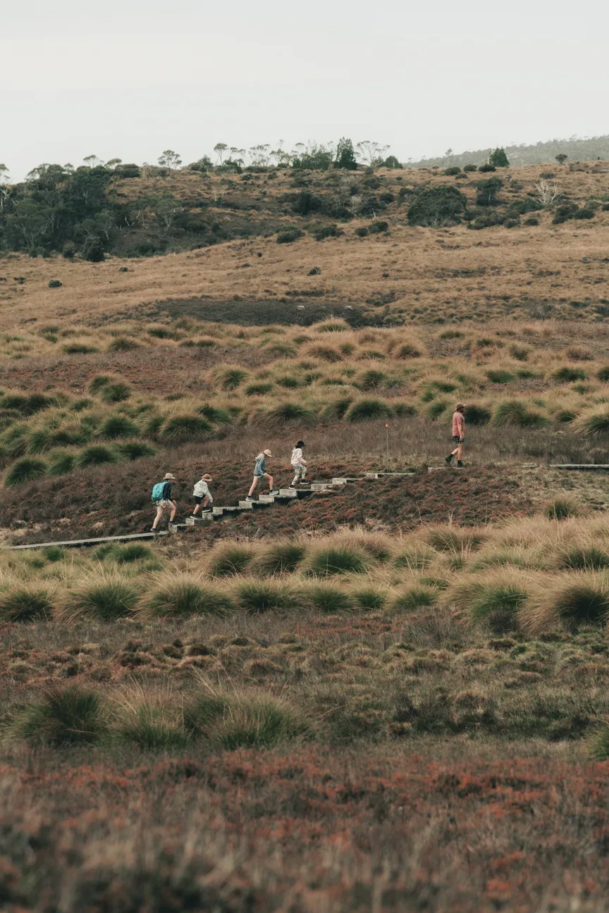 Cradle Valley Boardwalk