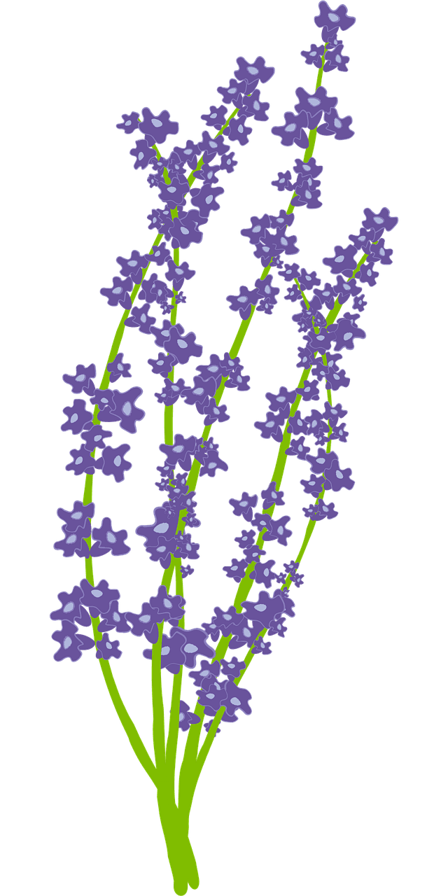 Lavendar flowers