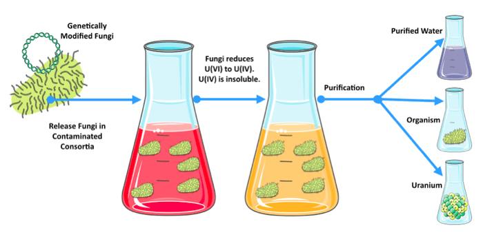 Image source: Beyond Berlin.