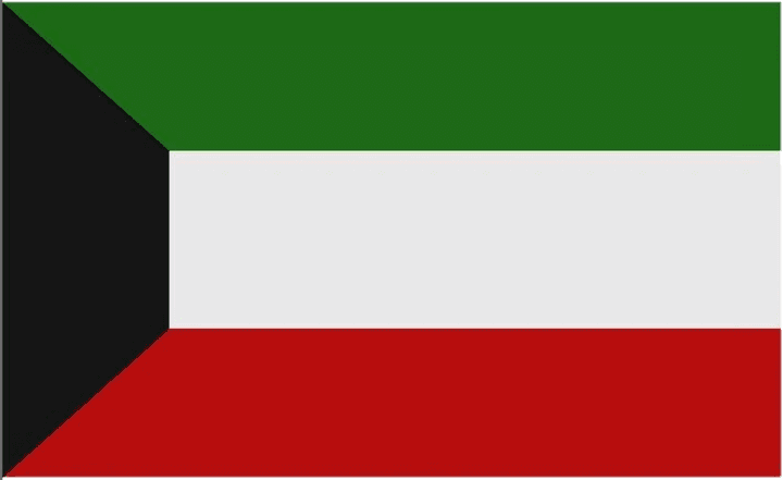 UAE flag