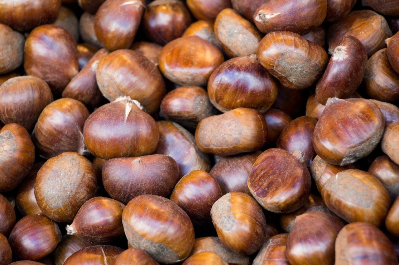 καρποί καστανιάς