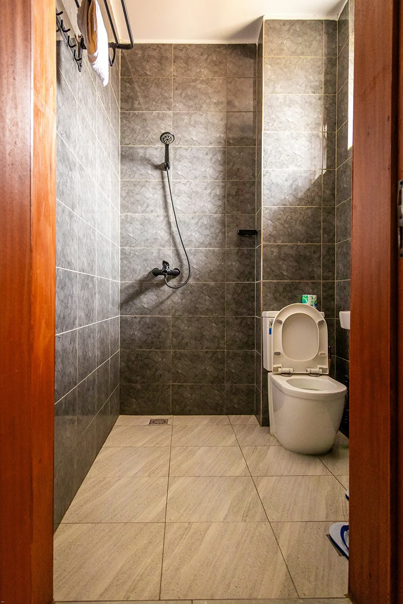 Private bathroom with a walk-in shower and toilet.
