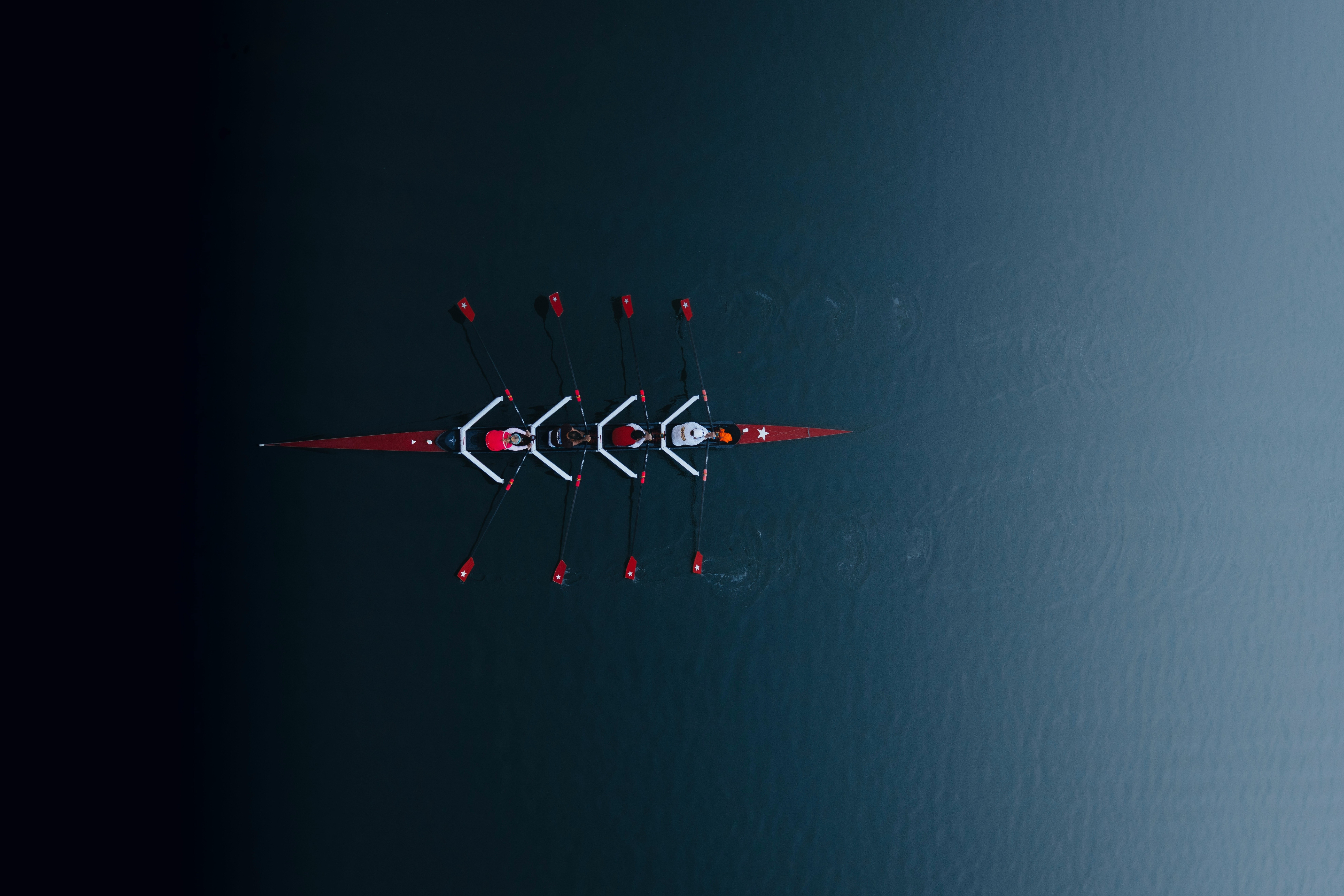 coordination by Parsa Mahmoudi