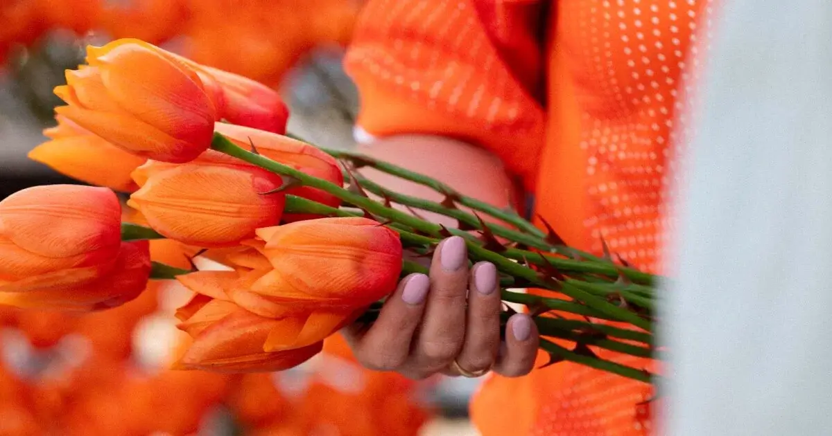 Woman holding tulips with spiky stalks