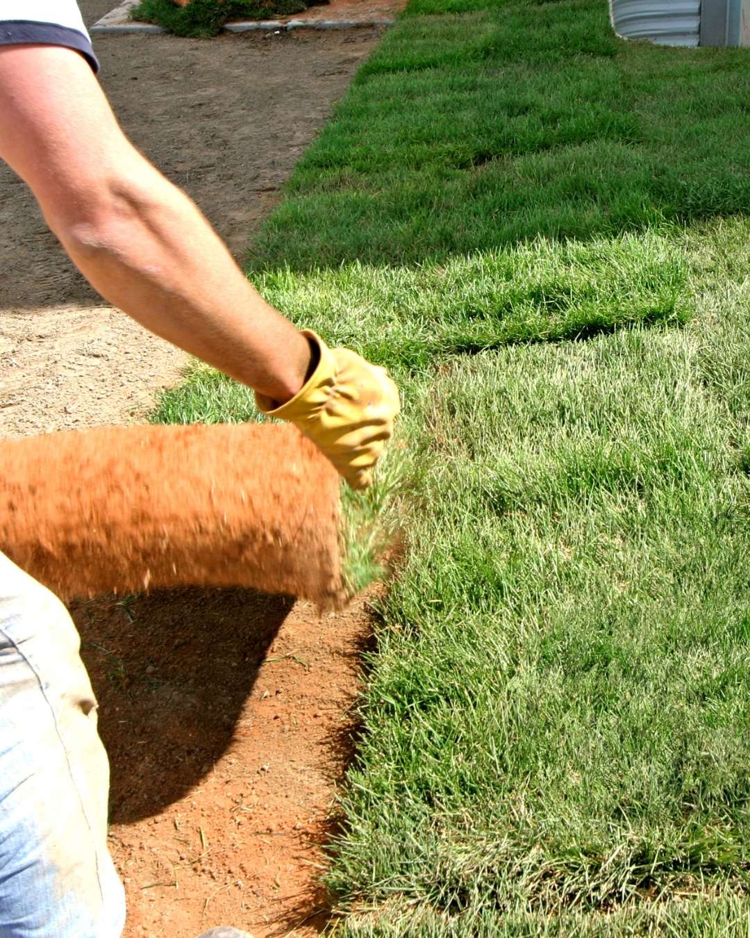 How Can We Help With Residential Sod Installation