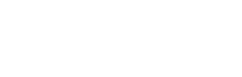 Lincoln Financial Group logo