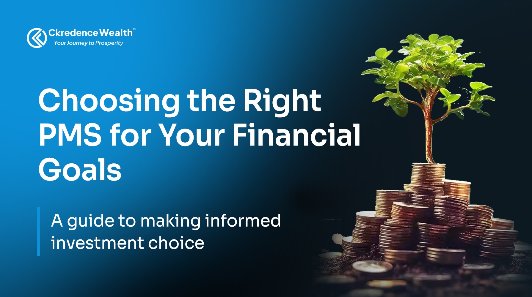 How to choose the best portfolio management services for your financial goals