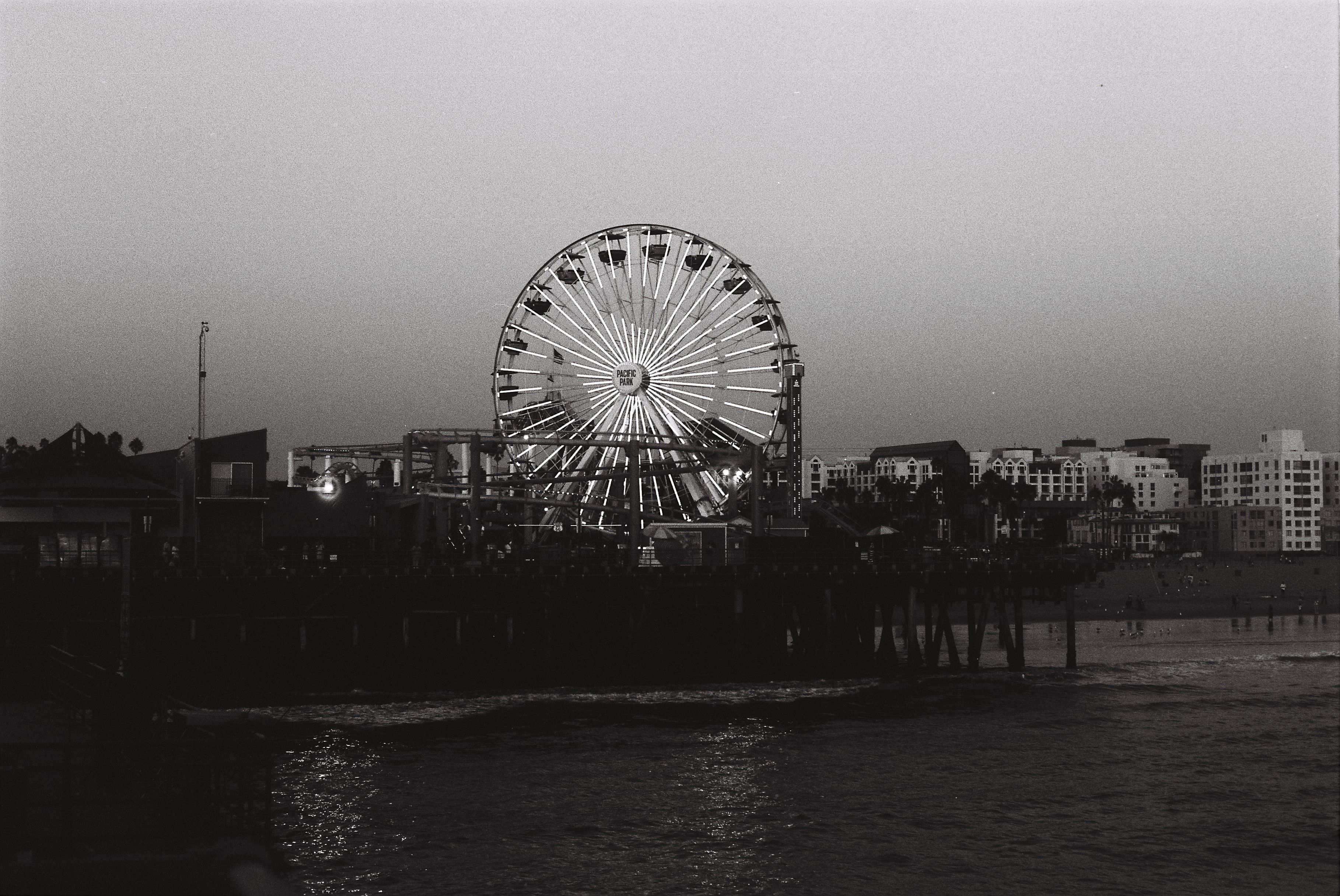 Photo by Renee G. Gudiño