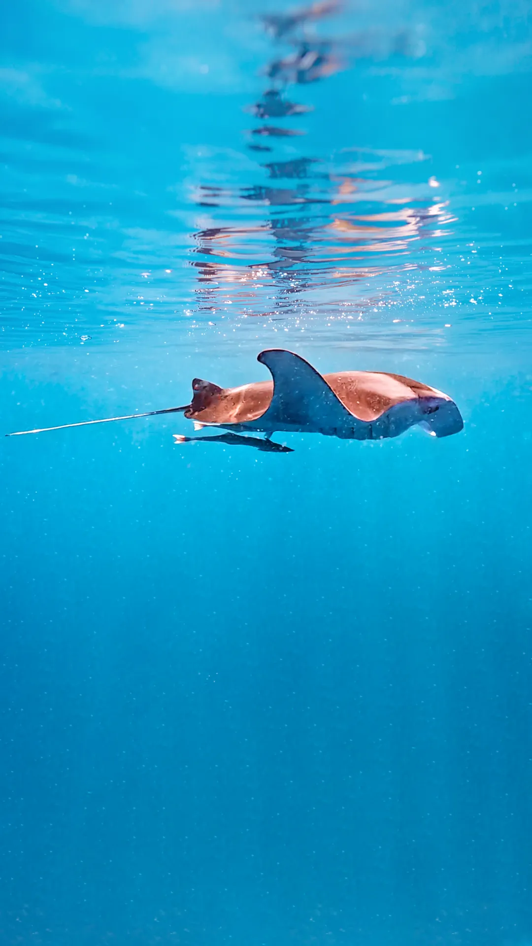 green mountain near lake at daytime