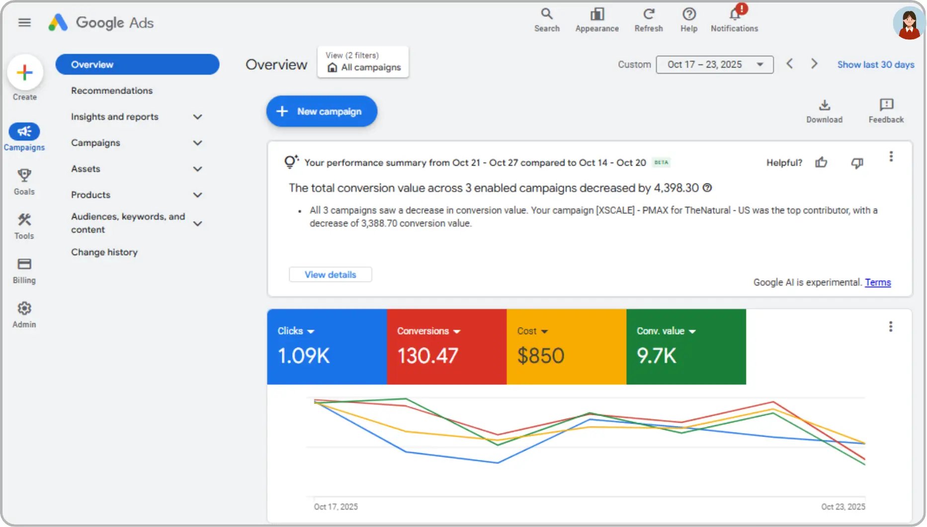 Google Ads performance dashboard displaying campaign analytics and metrics