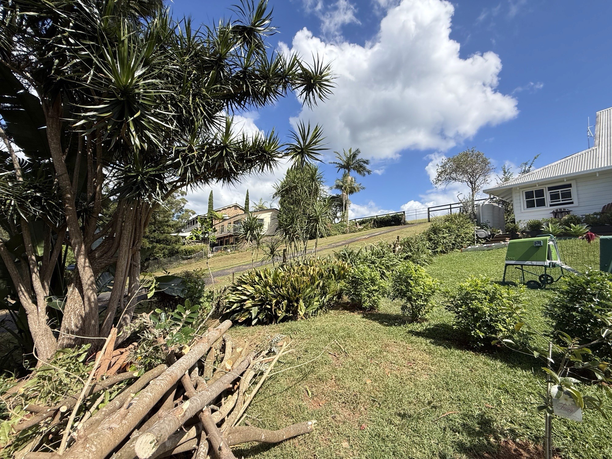 Pre sale garden clean up and tree removal residential property Lower Beechmont Gold Coast