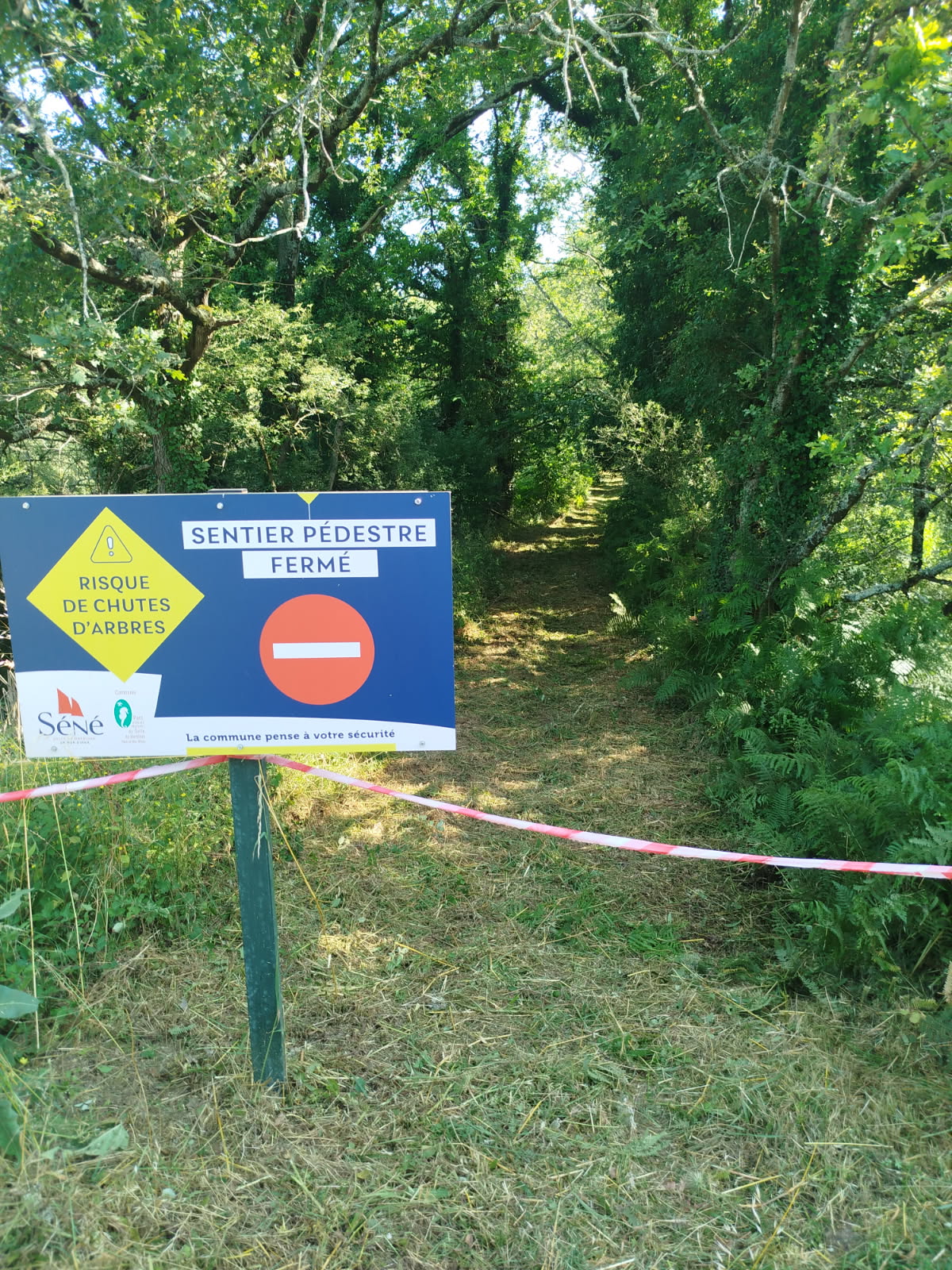 debroussaillage séné