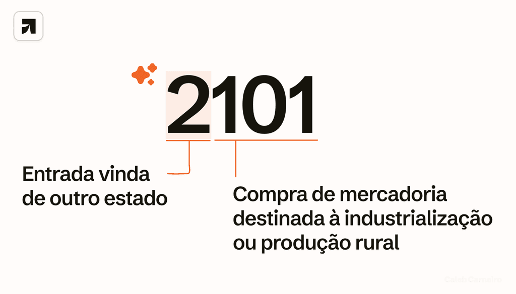 CFOP 2101: O que significa, entrada e devolução