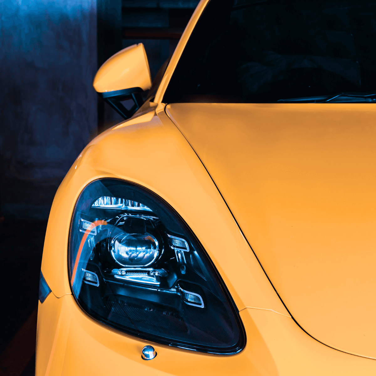 Close-up of a dark green leaf showing its textured surface and central vein against a muted background.