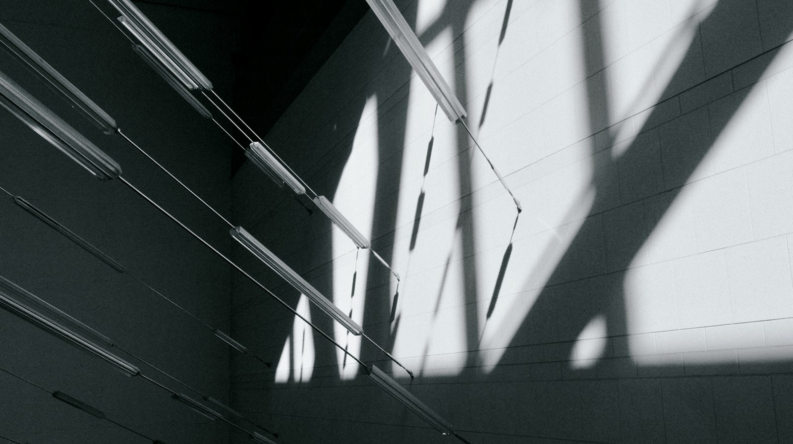Sharp diagonal shadows cast across a glass and concrete wall