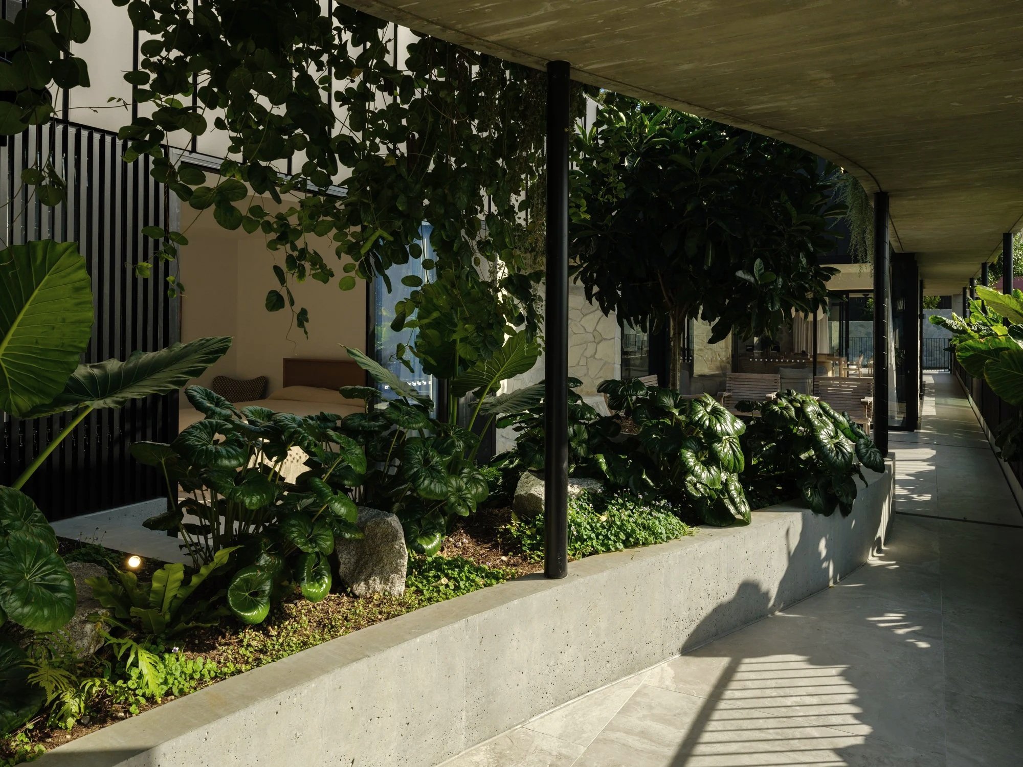 Covered walkway with integrated concrete planter, dense tropical landscaping, and filtered natural light.
